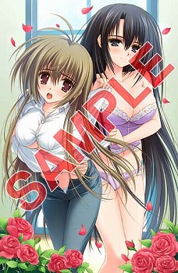 ꡼ No.005Υͥ / 429ȯͽꤹֲϤФޤƤ PortableפŹŵ饹ȤѤʡ