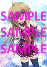 ꡼ No.003 | 륱ߥȡˤ̼ڡɤηʥ饹ȴǤ