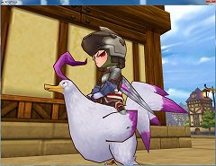 画像ギャラリー No.001のサムネイル画像 / 「ナイトエイジ」で新たな騎乗ペット「アヒル」が6月21日に実装予定