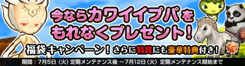 ꡼ No.001Υͥ / ֥ʥȥס쥢ʥץѤʡȯ䡣ץ쥼Ȥ