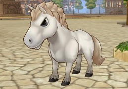 ꡼ No.003Υͥ / ֥ʥȥס쥢ʥץѤʡȯ䡣ץ쥼Ȥ