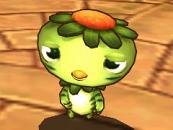 ꡼ No.005Υͥ / ֥ʥȥס쥢ʥץѤʡȯ䡣ץ쥼Ȥ