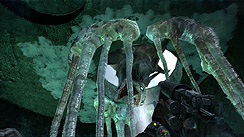 ꡼ No.014 | ѥ513˥꡼ͽꤷƤ֥ȥ2033פϡǷ깭襤ܺ