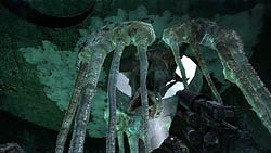 ꡼ No.010 | ֥ȥ2033׿ڤʥƥåդΥץ쥤ư褬Ȥ