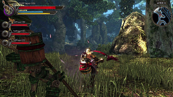 ꡼ No.006Υͥ / TGS 2010ॷ祦ǽ줿ޥ˥տȤMORPGǿCore BlazeפΥץ쥹񤬳