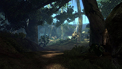 ꡼ No.009Υͥ / TGS 2010ॷ祦ǽ줿ޥ˥տȤMORPGǿCore BlazeפΥץ쥹񤬳