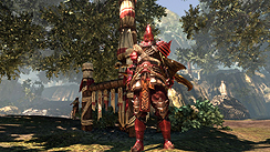 ꡼ No.013 | Core BlazeפΥץ쥤ݡȤǺܡΥץ쥤֥ŸȤʤܺϡ3DȤƤκʬäޤƤ