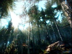 ꡼ No.001Υͥ / GDC 2010Ωλ륲ĶڤΤǸĤƼΥƥ쥪3DǥХݡȤ