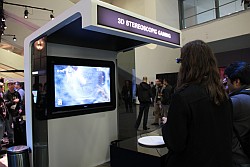 ꡼ No.003Υͥ / GDC 2010Ωλ륲ĶڤΤǸĤƼΥƥ쥪3DǥХݡȤ