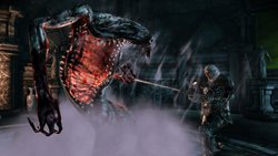 ꡼ No.006 | PS3/Xbox 360ǡDragon Age: OriginsפˤϡǤо줷6ܤDLCƱ뤳ȤȽ