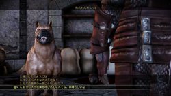 ꡼ No.009 | PS3/Xbox 360ǡDragon Age: OriginsפˤϡǤо줷6ܤDLCƱ뤳ȤȽ