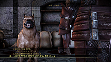 ꡼ No.022Υͥ / Dragon Age: Originsפκǿ塣ط䥲ॷƥʤɤƬáȯ褦