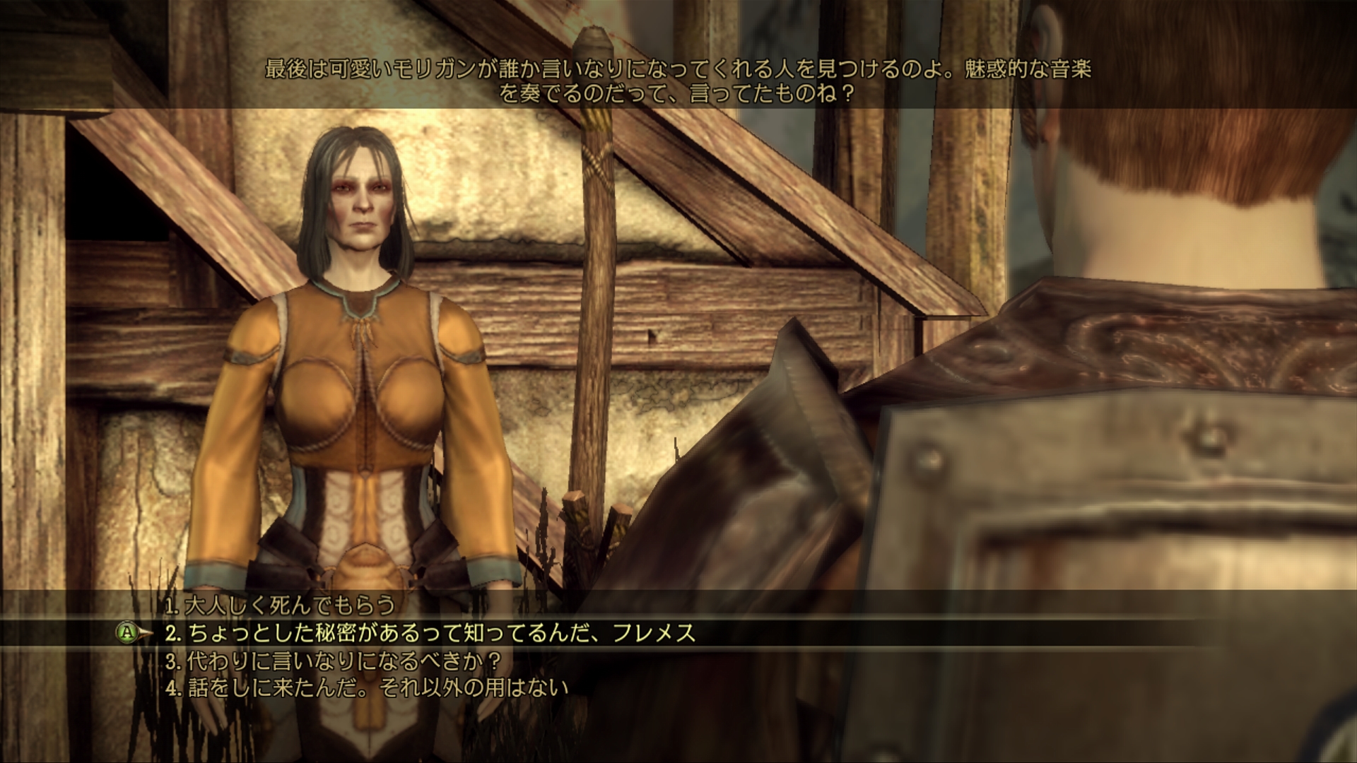 画像集 022 Dragon Age Origins パーティメンバー アリスター モリガン を紹介 プレイヤーの選択 行動