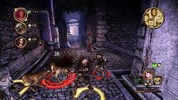 ꡼ No.006Υͥ / ̵̩褬ࡤŪRPGDragon Age: OriginsפΥӥ塼Ǻ