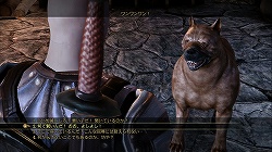 ꡼ No.026Υͥ / ̵̩褬ࡤŪRPGDragon Age: OriginsפΥӥ塼Ǻ