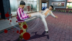 ꡼ No.005 | 桼ϤɤХȤäָ֥ҥ祦 ζǡϡ̿ƤҲ