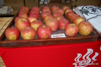 ꡼ No.024Υͥ / ܤΥ楯¼Ǥι굤ʬ֥󥹥ϥ󥿡ݡ֥3rd ߽² 楯εʬǼꡪפ˹ԤäƤ