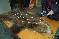 ꡼ No.069Υͥ / ܤΥ楯¼Ǥι굤ʬ֥󥹥ϥ󥿡ݡ֥3rd ߽² 楯εʬǼꡪפ˹ԤäƤ