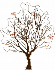 ���������꡼ No.004�Υ���ͥ������ / �֥�󥹥����ϥ󥿡��ե�����'11�ס��Ʋ��ǺŤ��������ܤδ��ɤϤ��졣ʪ�Υ����ʡ��κǿ��饤��ʥåפ��ǧ���Ƥ�����