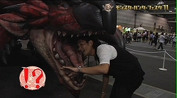 ꡼ No.002Υͥ / ֥󥹥ϥ󥿡ե11פΥݡȱȤǸ