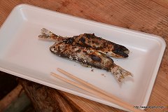 画像ギャラリー No.005のサムネイル画像 / 「モンスターハンターポータブル 3rd×信州渋温泉」のコラボは今回も“本気”。釣り大会やユクモ村と化した温泉街巡りのレポート(第2部)を掲載