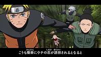 ���������꡼ No.010�Υ���ͥ������ / ��NARUTO�ݥʥ�ȡ� ������ �����ʥɥ饤�֡׿�������������ꥸ�ʥ륹�ȡ��꡼�Ͻ��ѼҤȥ��������Ԥ����ˤ�봰���ƽ���