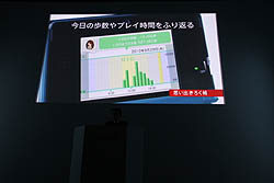 ꡼ No.058 | ǤŷƲκŸȡ˥ƥɡ3DSγƼﵡǽȥ뤬Ҳ𤵤줿ǤŷƲե2010ץݡȡԡ