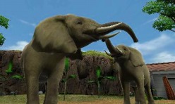 ꡼ No.006 | ֥˥ƥɡ3DSפˤ褤迨Ȥ18ĥåǳŤ3DSθξܺ٤餫