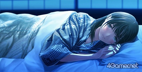 ꡼ No.002 | Ѥ㤦Ƥ⤷ʤץåΡ֥֥ץ饹ܡפ˲Ϥĥץǥ塼ʹ