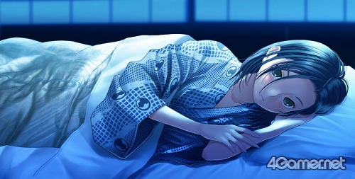 ꡼ No.003 | Ѥ㤦Ƥ⤷ʤץåΡ֥֥ץ饹ܡפ˲Ϥĥץǥ塼ʹ