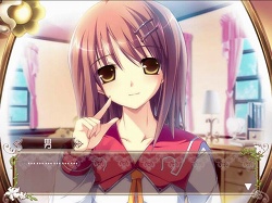 ꡼ No.004Υͥ / ͳرǽ˻Ҥ˴ޤ!?PS2ѥեȡֲ֤Ȳ˽ʡʲˡפ624ȯ