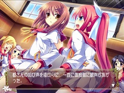 ꡼ No.010Υͥ / ͳرǽ˻Ҥ˴ޤ!?PS2ѥեȡֲ֤Ȳ˽ʡʲˡפ624ȯ