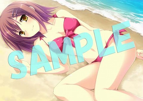 ꡼ No.005 | ֲ֤Ȳ˽ʡ£ʪ׳ŹŵΥ饹ȤҥãοѤ򸫤Ƥ