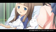 ꡼ No.015Υͥ / ƱȯΤĤʤΥ٥륲֥ʥ륭å⤷ʤPortableסǽϤ527ȯ