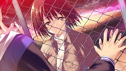 ꡼ No.020 | ͵μ̤ͤιϡȯΡWHITE ALBUM֤ߤۤСݡפҲ