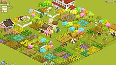 ꡼ No.005Υͥ / ֥饦祵ȡ֥֥󥳡ס7ȥ뤬711ɲ