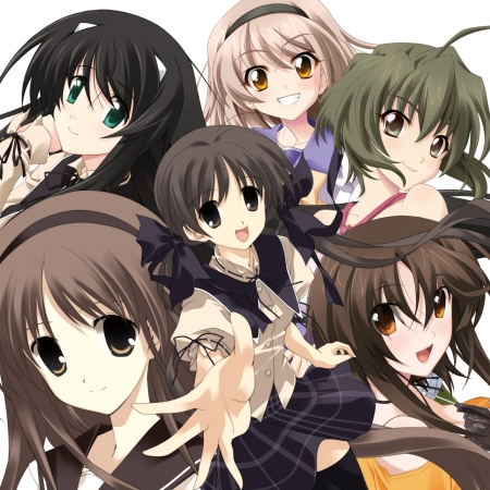 ꡼ No.019 | ɤϡڤʤפȡֻפСס⥪ե꡼ǿ֥꡼ ӤεסǿPVʤɿ餫