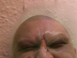 ꡼ No.005 | ޥեĤ󼡸褤2֥ݥݥ륾Ӥǥե᥿ʶƻζǡ