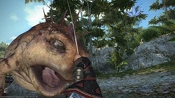 ꡼ No.010 | ޥեĤ󼡸褤172־Τ礭ʵŶ龮ΤΥѥڥåƥ