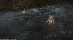 ꡼ No.018 | ޥեĤ󼡸褤172־Τ礭ʵŶ龮ΤΥѥڥåƥ