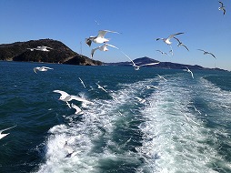 画像集#021のサムネイル/マフィア梶田の二次元が来い!:第190回「575のリズムで楽しめるマフィアの参拝珍道中【ぶらり旅編】」