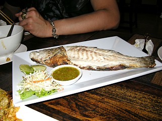 画像集#008のサムネイル/マフィア梶田の二次元が来い!:第230回「タイで役立つ電撃サバイバルガイド」