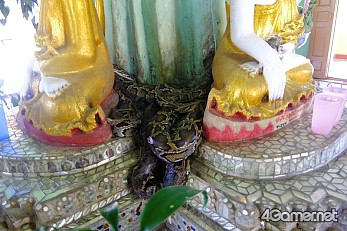 画像ギャラリー No.012のサムネイル画像 / マフィア梶田の二次元が来い！：第252回「ジョジョの微妙な冒険 〜ミャンマー編〜 その2」