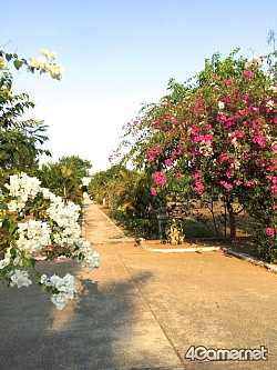 画像ギャラリー No.007のサムネイル画像 / マフィア梶田の二次元が来い！：第254回「ジョジョの微妙な冒険 〜ミャンマー編〜 最終回」