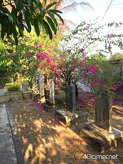 画像ギャラリー No.008のサムネイル画像 / マフィア梶田の二次元が来い！：第254回「ジョジョの微妙な冒険 〜ミャンマー編〜 最終回」