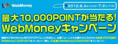 ���������꡼ No.001�Υ���ͥ������ / �������WebMoney��500POINT�Ȥä��ͤ��оݤ˺���1��POINT��������