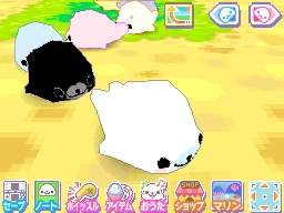 画像ギャラリー No.005のサムネイル画像 / こんなにかわいいのが同時に8匹も飼えるなんて! ニンテンドーDS用ソフト「まめゴマ3〜かわいいがいっぱい〜」は2010年8月5日発売