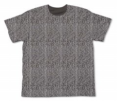 ꡼ No.005 | ѡTGS 2010NEOGEOSTEINS;GATEפΥå