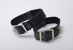 ꡼ No.005 | STEINS;GATEΰѤѡ12ܤȯ