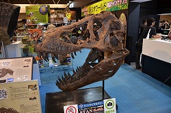 ꡼ No.006 | ե奢ʤӤäŷνʪ⤢ä֥եƥХ2011βơϡץݡ